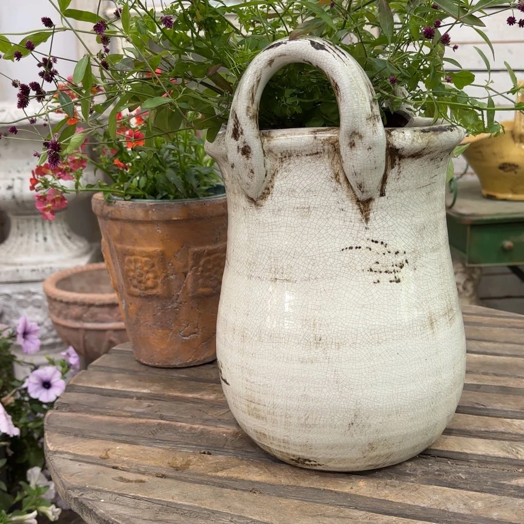 许纯的花房手拉高款