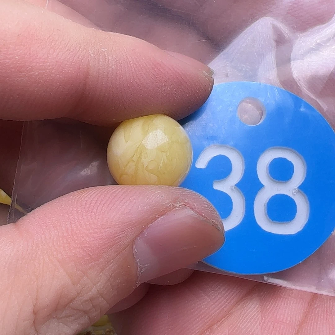 蜜蜡未镶嵌珠宝奇石13.9mm微花粉