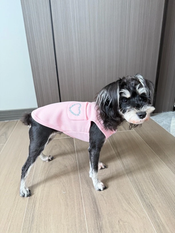 小狗加绒秋冬小背心