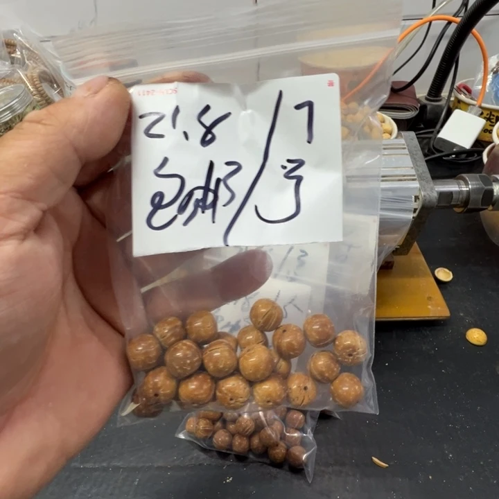 失****盘锦原色红魔福利