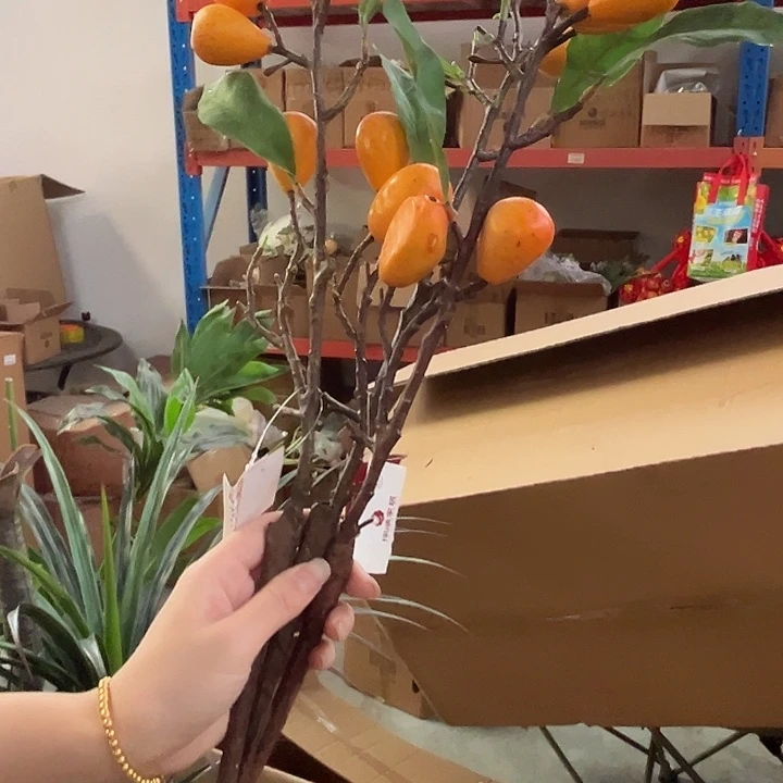 拍品3个大福利大福利