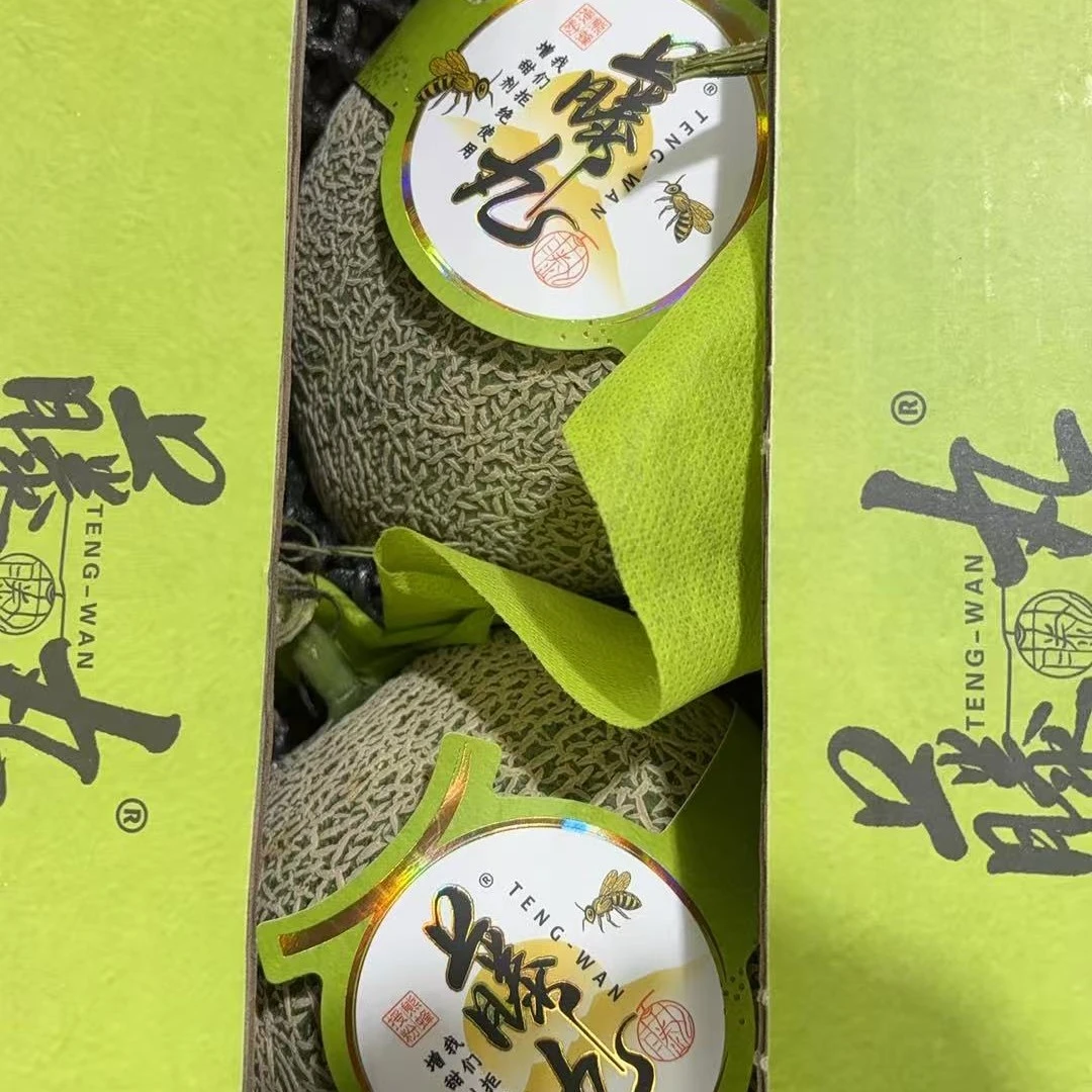 藤丸可口蜜瓜《放置俩段微软》