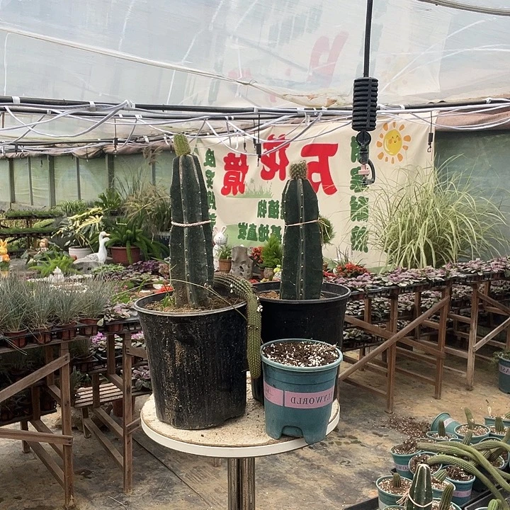 神***宙完全开放无售后介意勿拍