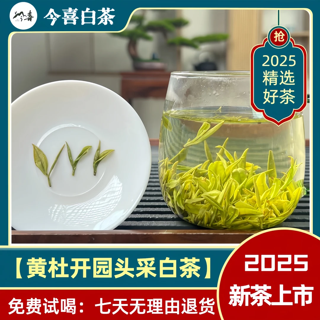 【招牌头采】安吉白茶2025头采清香原产地佳品送礼发货好喝好茶品质