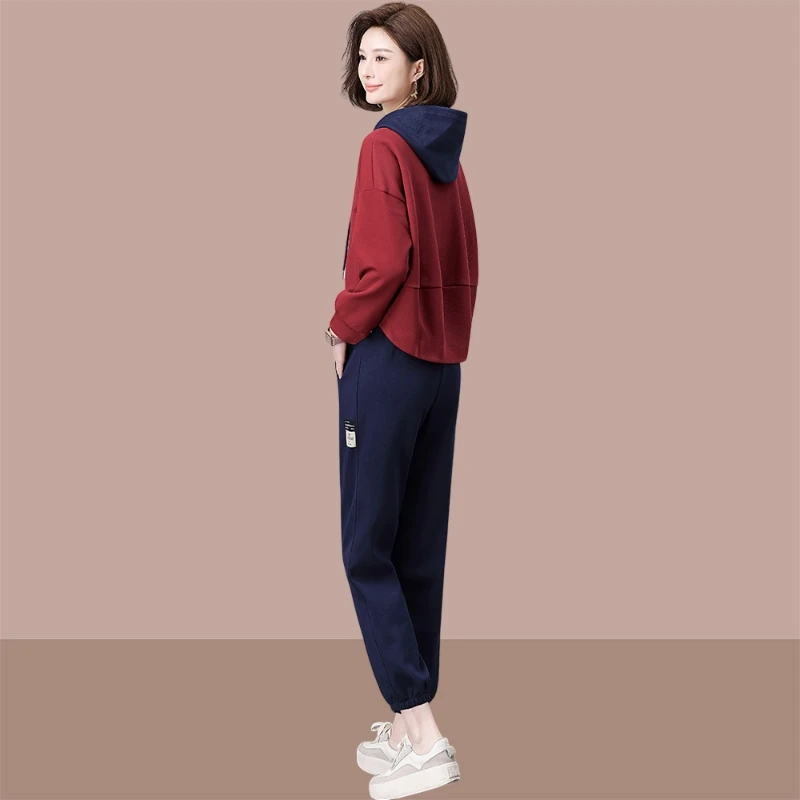 2025春秋季新款女士减龄休闲运动套装宽松连帽卫衣哈伦裤两件套潮