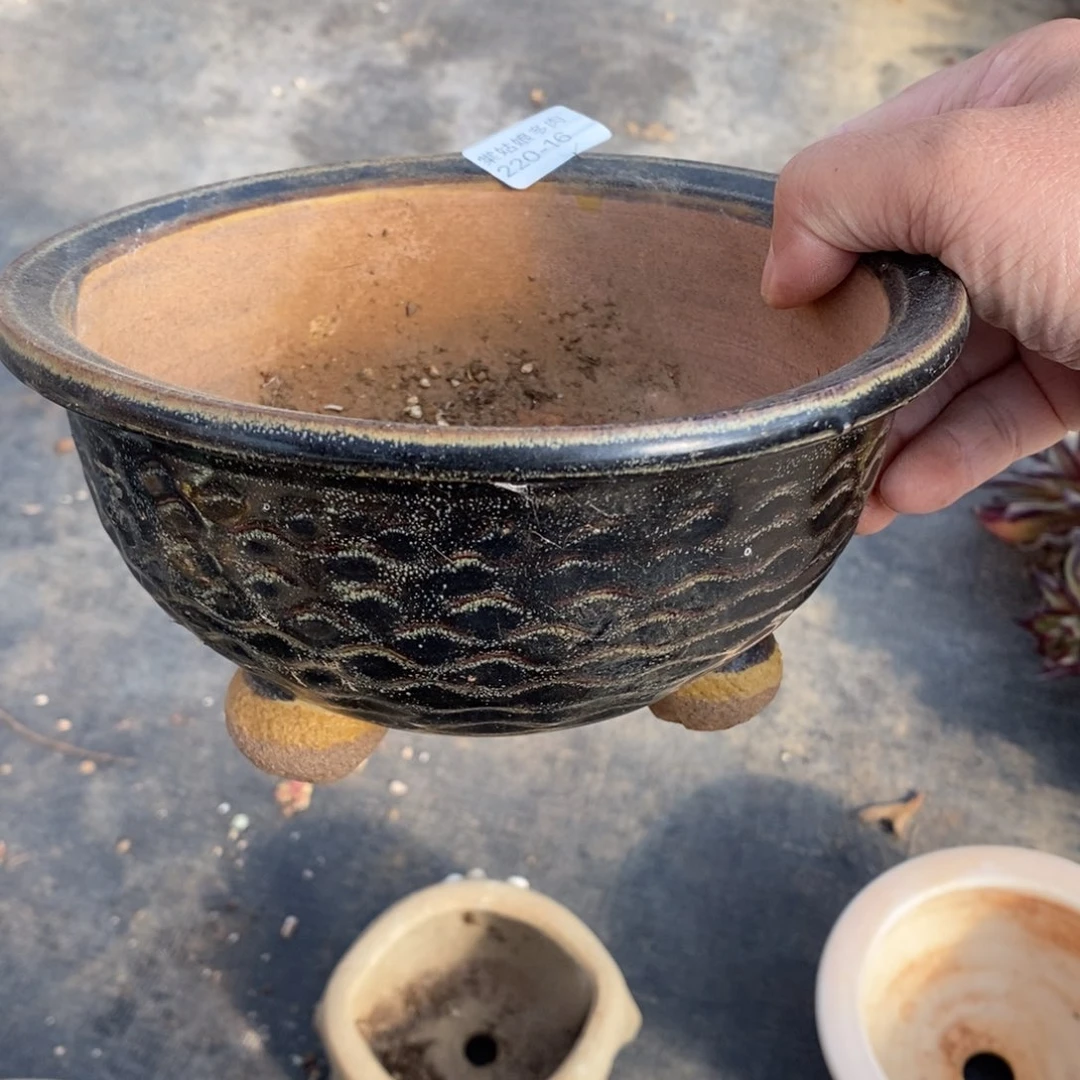 红陶用****416号多肉盆一个呀