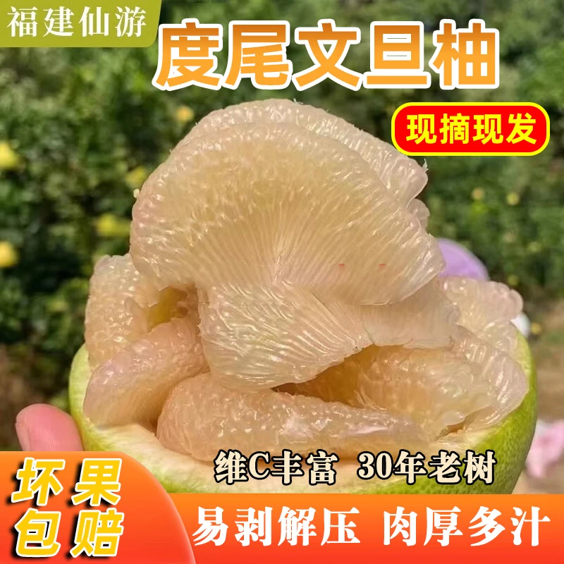 福建仙游度尾文旦柚红心蜜柚新鲜应季孕妇水果酸甜多汁