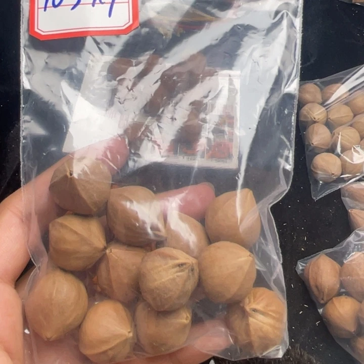 手串/手链橄榄核1.9