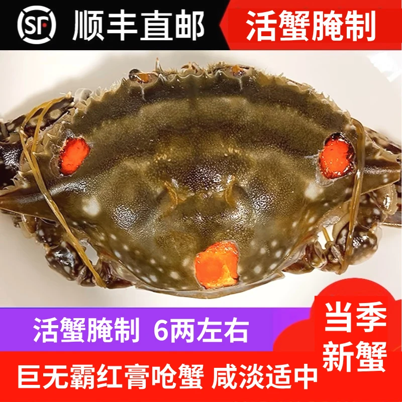 【巨无霸红膏】舟山精品红膏呛蟹6两左右/只 咸蟹 生吃不可蒸煮
