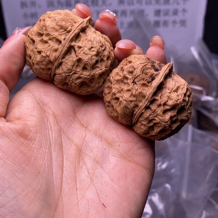核桃云南野生铁核桃155号43mm