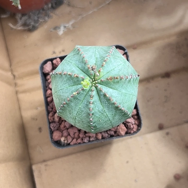 我也不知道我为什么会这么