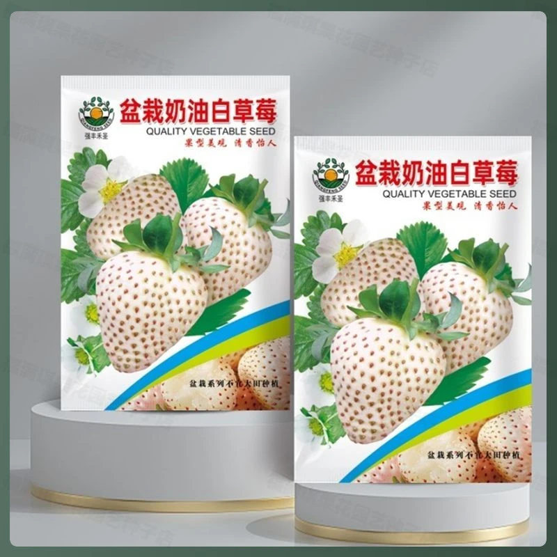 【买二送一】奶油白草莓种子庭院室内阳台盆栽水果种籽多年生四季易