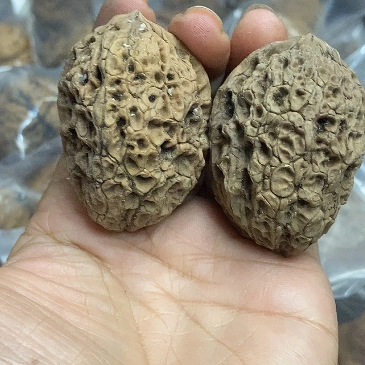 文玩核桃把件云南铁核桃基地92