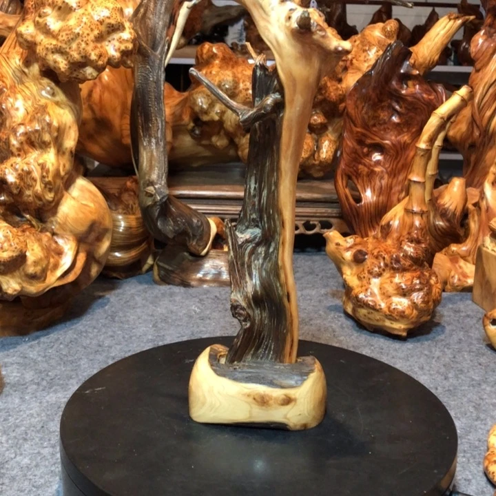 柏木（崖柏）中*崖柏7