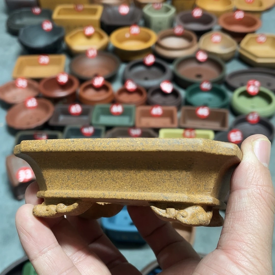 紫砂小盆9*6*2cmmmmm