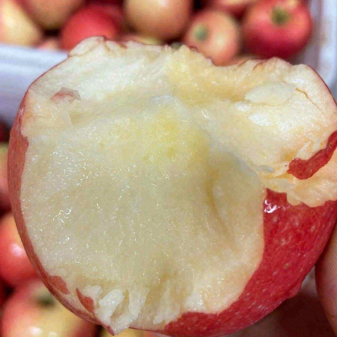 牛顿小苹果小时候味道