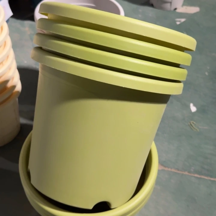 微瑕5号6个无托果绿