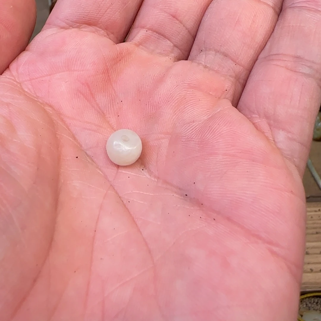 和田玉未镶嵌吊坠(不含链)用****2