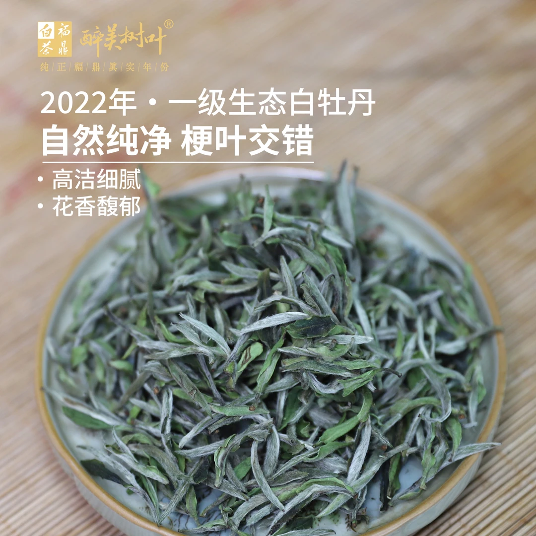 醉美树叶2022年一级白牡丹福鼎白茶源头工厂30g/罐
