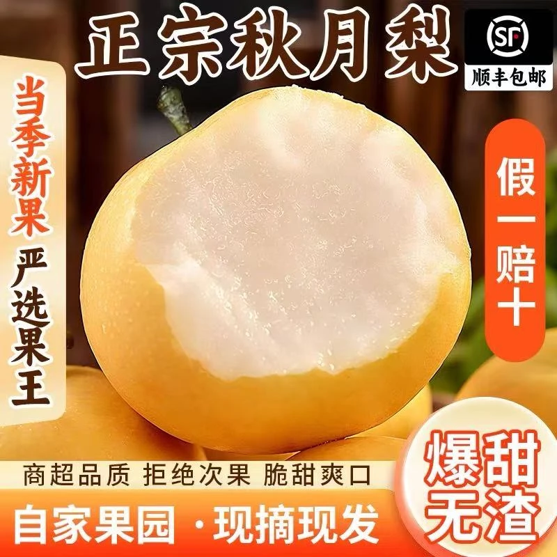 当季限定丨顺丰包邮丨正宗烟台莱阳秋月梨现摘冰糖蜜梨脆爽多汁