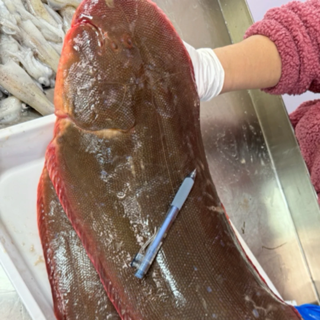 【渔三宝家】渤海湾龙利鱼单条二斤以上独立包装 速冻发货顺丰到家
