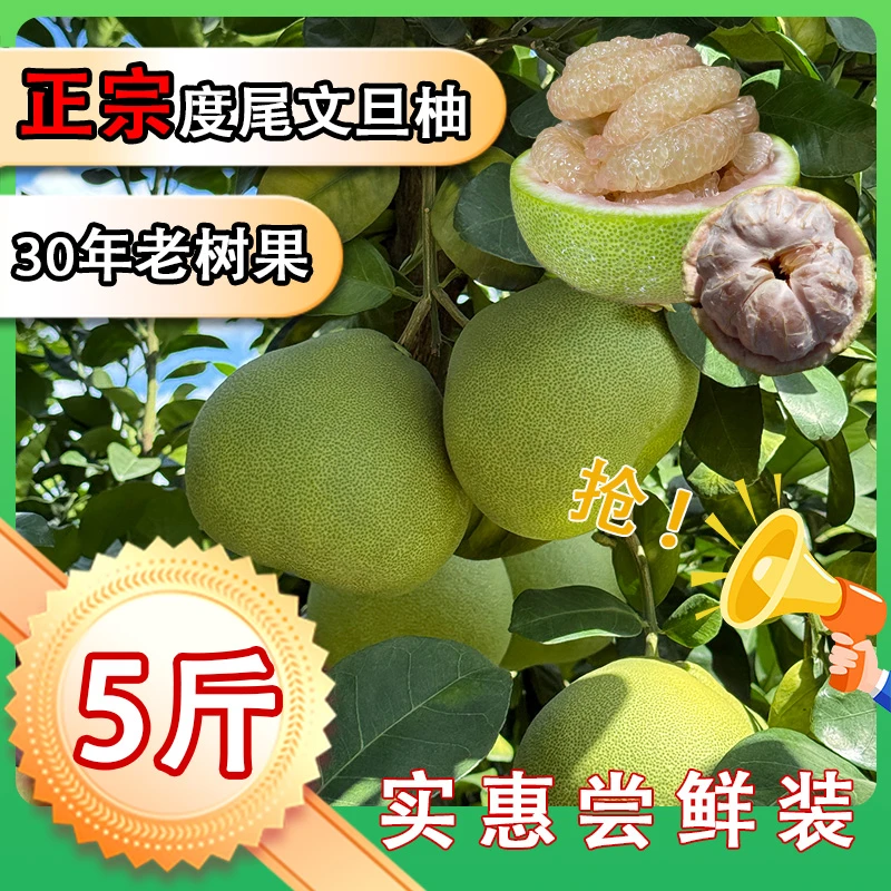 福建仙游度尾文旦柚新鲜当季现摘时令水果