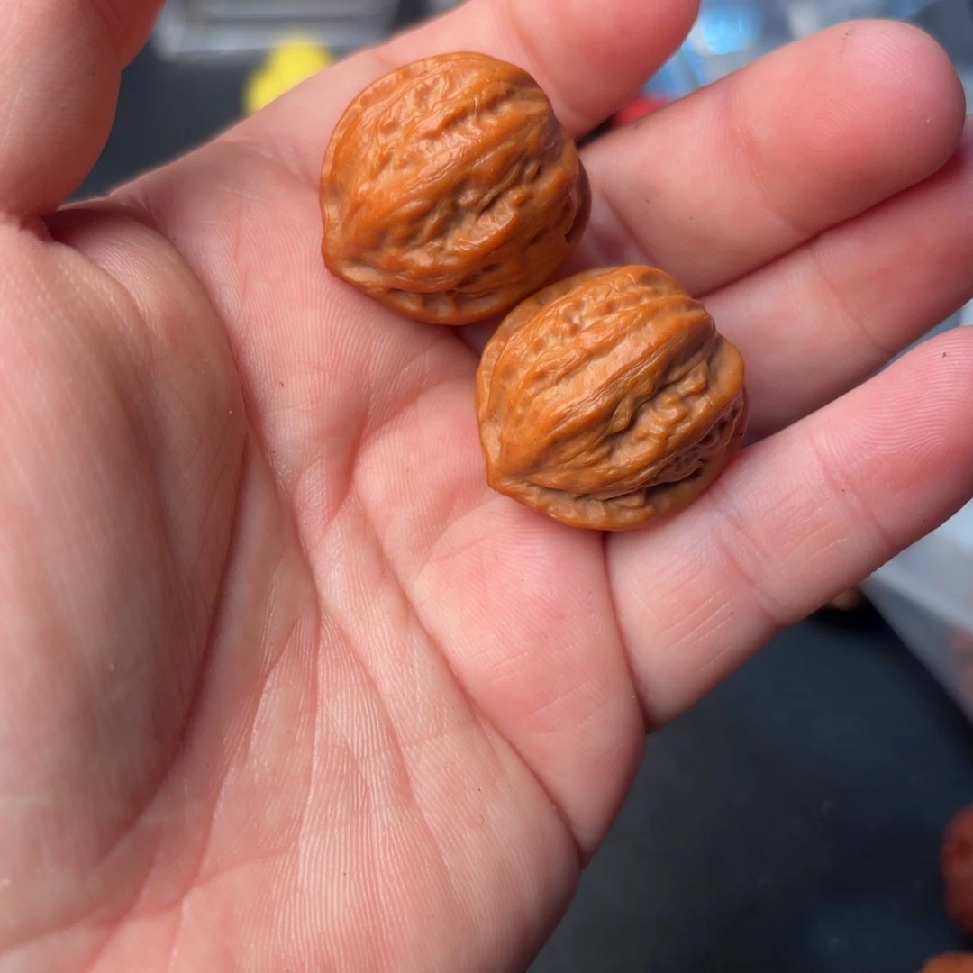 文玩核桃把件81000000