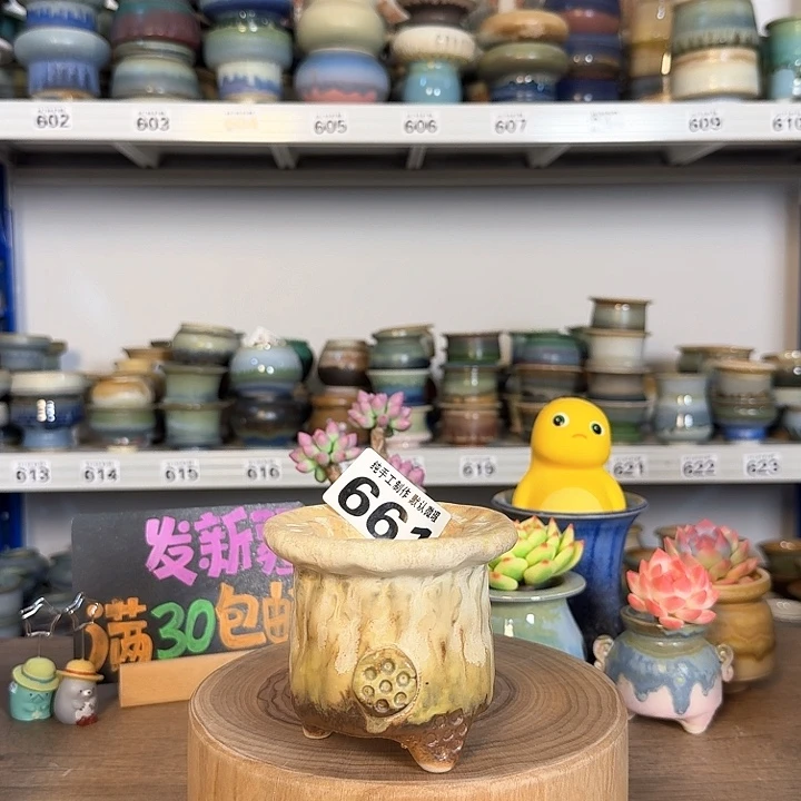景德镇手工陶瓷盆 口6