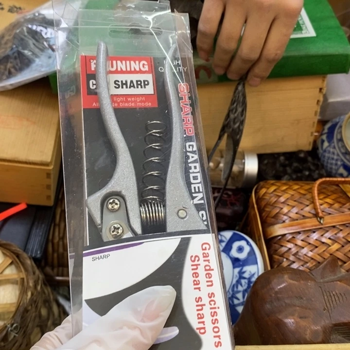 瓷片哦哦哦哦哦哦哦哦