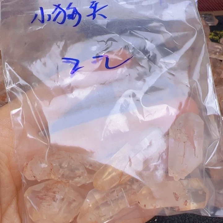 小狗头像的水晶骸骨未镶嵌水晶