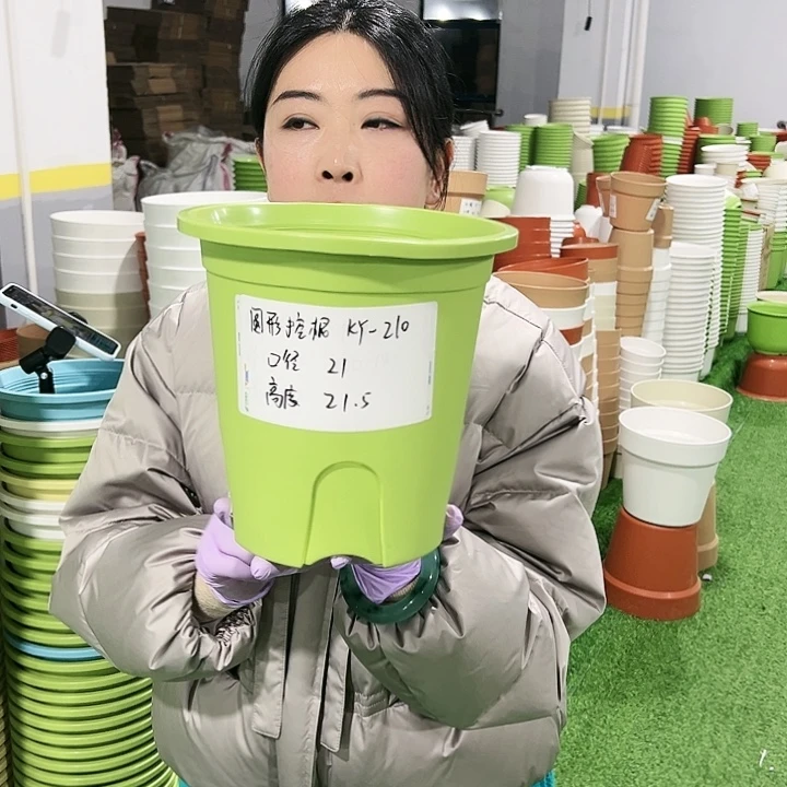 正品圆控口21高21果绿8只无托