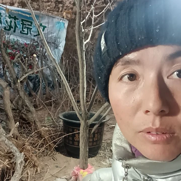 用***0完全开放文冠树一颗