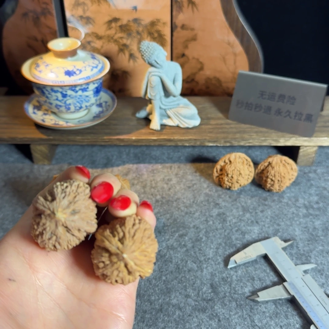 蒜头黄金甲白茬不退换