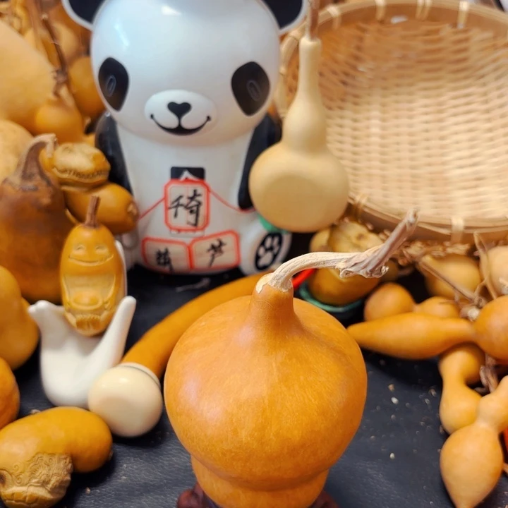 琴****室8888888888888888888