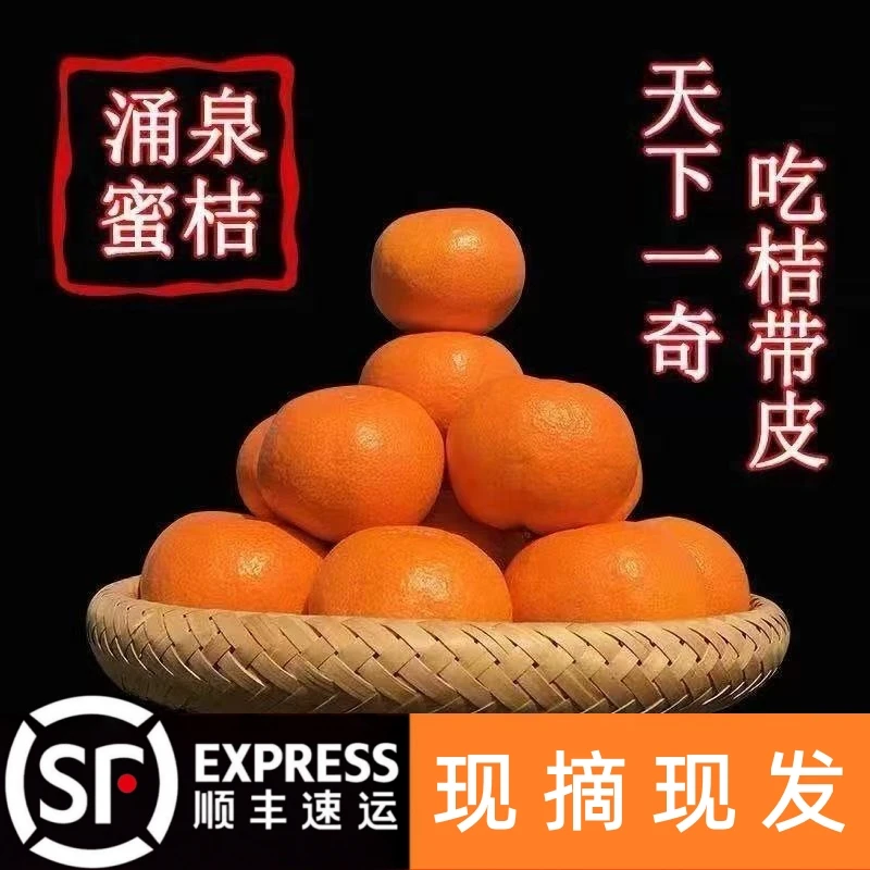 [顺丰包邮]浙江台州正宗临海涌泉蜜桔孕妇黄岩橘子薄皮橘无核现摘