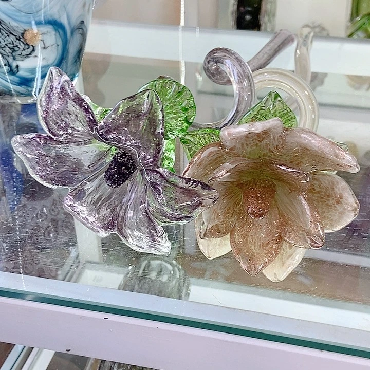 没*琉璃花高度45厘米9厘米