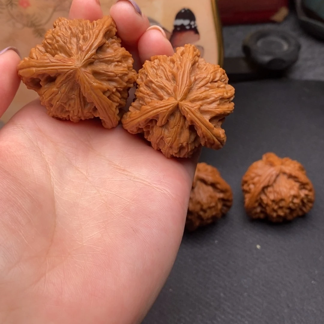 y****e白狮子111111111111