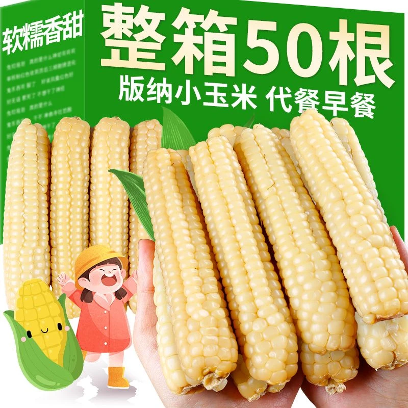 拇指玉米西双版纳手指小玉米香糯宝宝玉米新鲜白糯小玉米非转基因