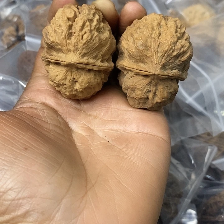 核桃云南铁核桃基地23