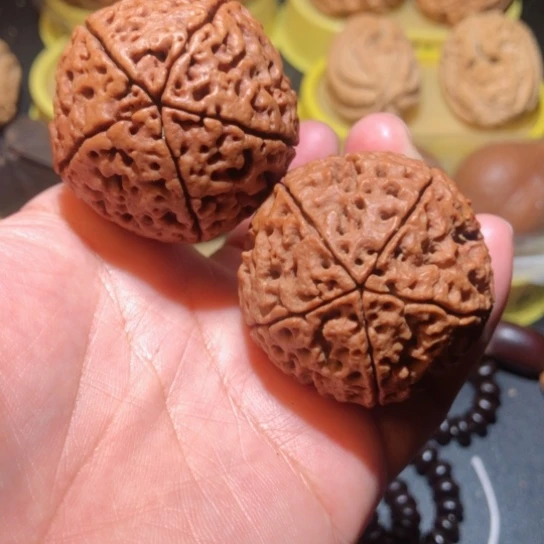 文玩核桃把件练手金刚菩提