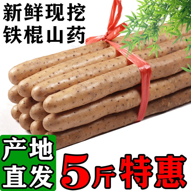 【5斤大果】铁棍山药软糯面甜新鲜营养高产地直发天然品质多种饱满