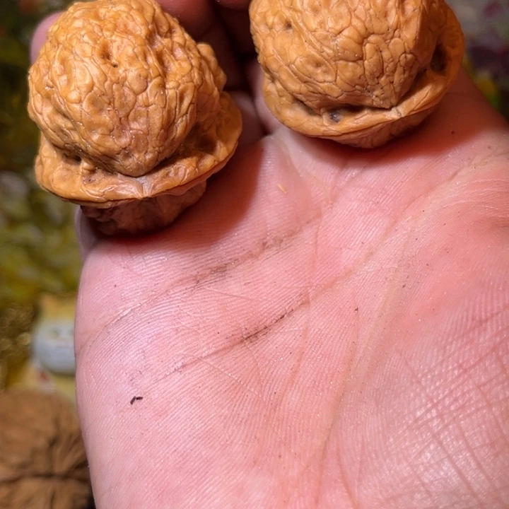 文玩核桃吊坠滇西81