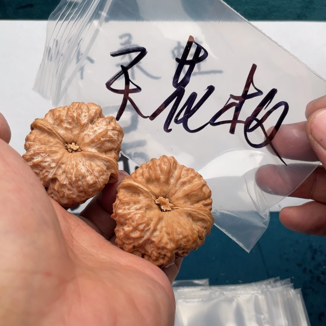 核桃手串/手链W649468469648468