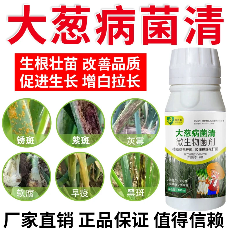 大葱病菌清大葱锈斑紫斑干尖黄叶软腐根腐配方升级正品微生物菌剂