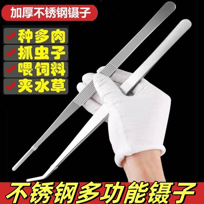 多肉镊子不锈钢夹子加长加厚直头弯头鱼缸水草昆虫敷料工具维修夹