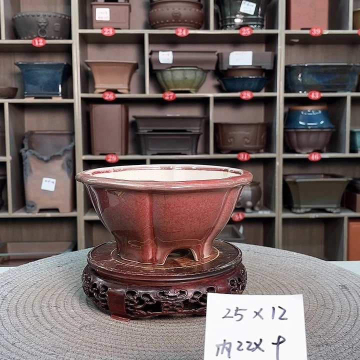 紫砂花盆?*龘紫砂的花也太漂亮