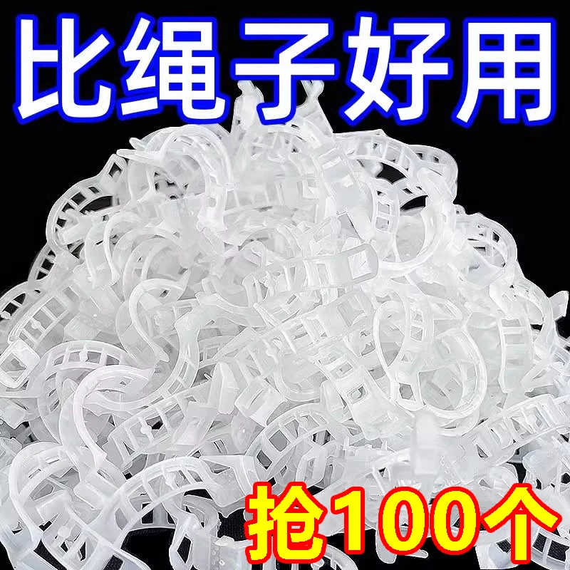 果树绿植植物固定夹卡扣藤蔓固定器秧苗爬藤支撑杆果蔬秧苗吊秧夹