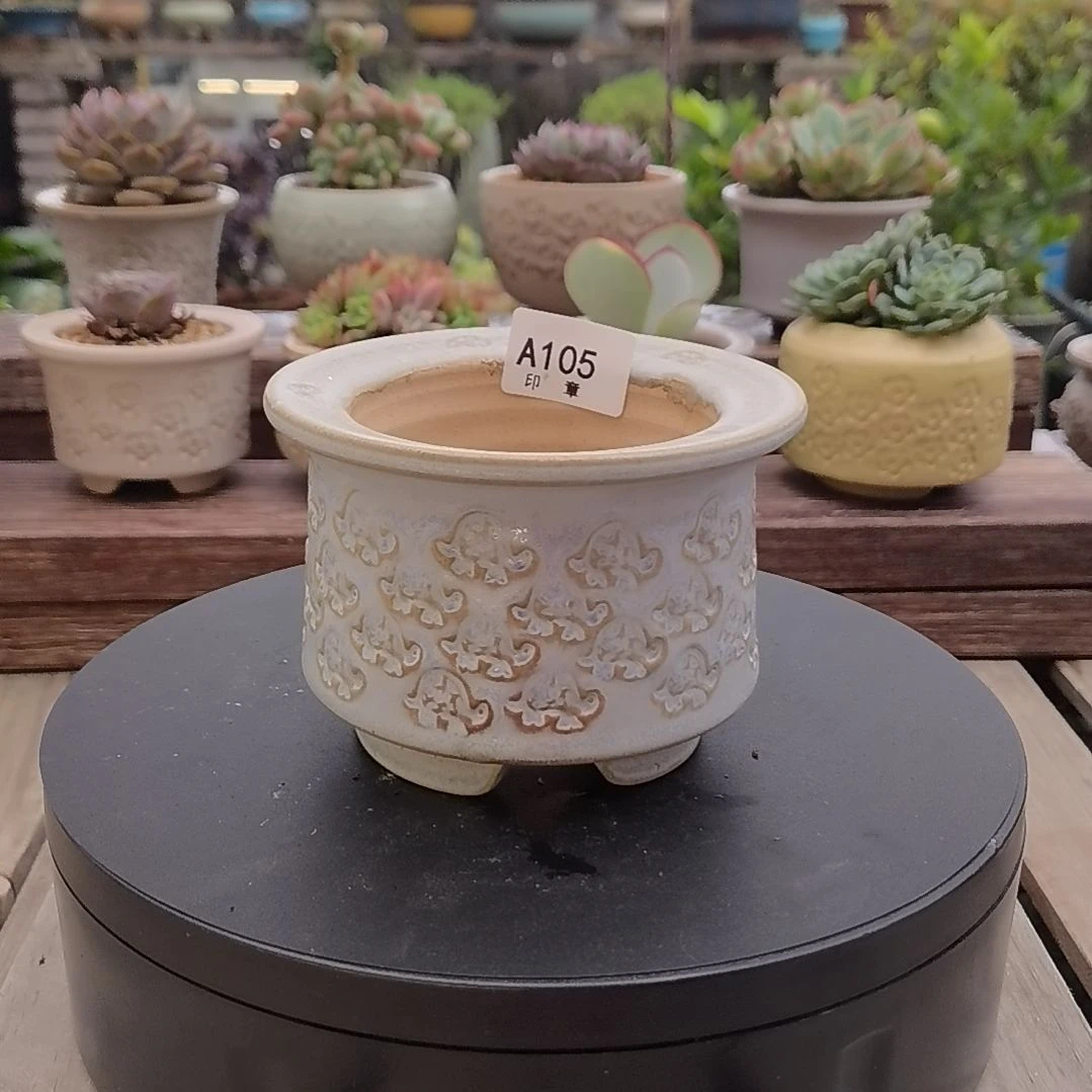 印章多肉花盆A105