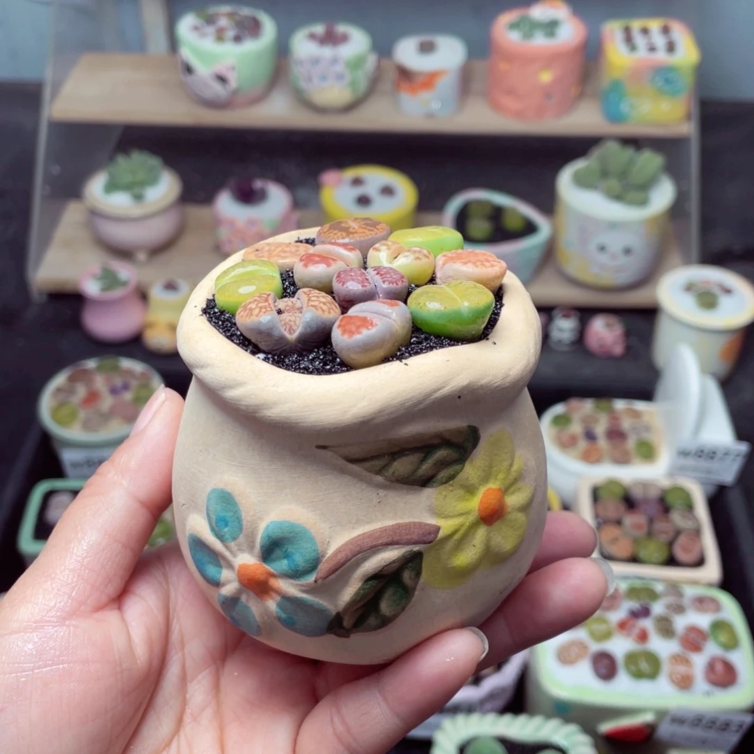 w8890 带盆土发货-零下地区拍保温箱