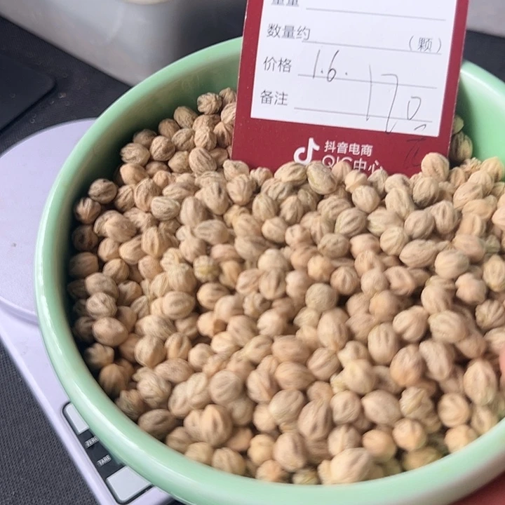 柏香籽/百香籽吊坠